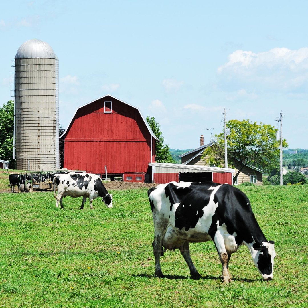 Farming Your Level of Concern | High Country Behavioral Health